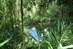 DSC09880a.jpg